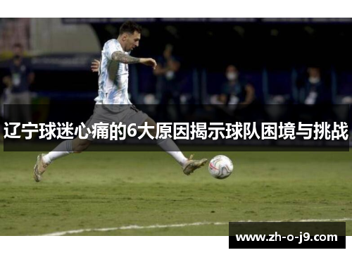 辽宁球迷心痛的6大原因揭示球队困境与挑战