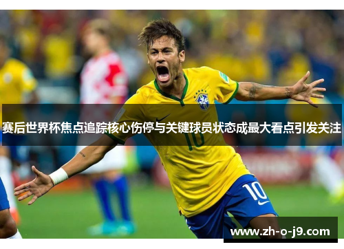 赛后世界杯焦点追踪核心伤停与关键球员状态成最大看点引发关注