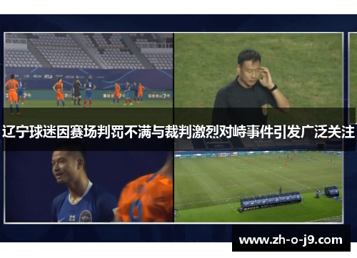 辽宁球迷因赛场判罚不满与裁判激烈对峙事件引发广泛关注