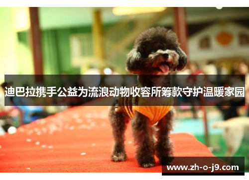 迪巴拉携手公益为流浪动物收容所筹款守护温暖家园