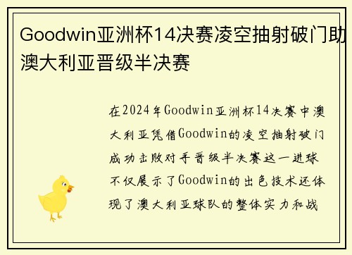 Goodwin亚洲杯14决赛凌空抽射破门助澳大利亚晋级半决赛